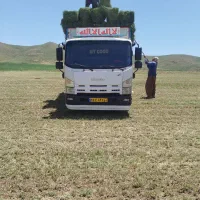 یونجه پرس