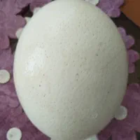 تخم شترمرغ