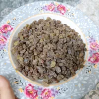 کشمش سبز بندی درجه یک خونگی