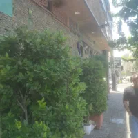 پیک موتوری