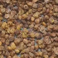 آلو بخارا و برگه گلابی اسپادانا