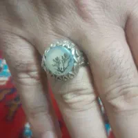 ۲عددانگشتر شجر قاعن