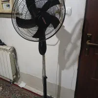 پناه ایستاده وسالم به قدر نو استفاده نشده