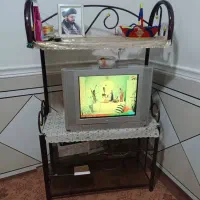 تلوزیون