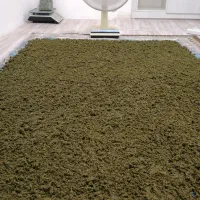 قرمه سبزی خشک و انواع سبزیجات نیشابور