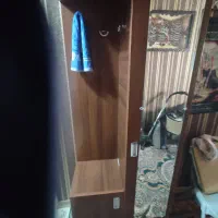جاکفشی سالم ضدخش