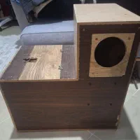 لانه طوطی