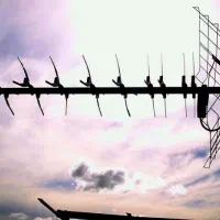 نصب آنتن گردان وثابت وگیرنده دیجیتال