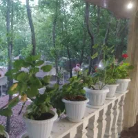 تور شاد شمال بابلسر وسدشیاده