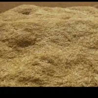 کاه عدس کیلویی 60تومن
