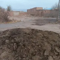 کود بوقلمون