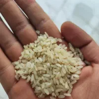 برنج کامفیروزی معطر