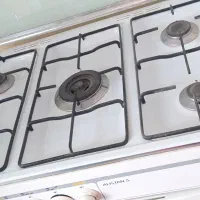 گاز فردار  عالیستان