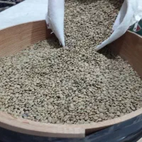 عدس تازه|خوردنی و آشامیدنی|باغستان, |دیوار