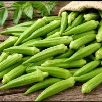 بامیه دستچین  ارگانیک و تازه خوران