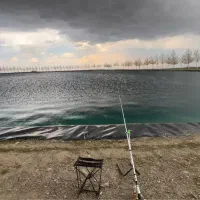 طعمه قزل الا بریکلی دست ساز