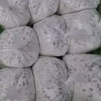 دوغ پرچرب نعنا دار