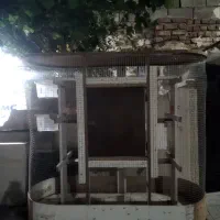 قفس مخصوص پرندگان زینتی وکوچک
