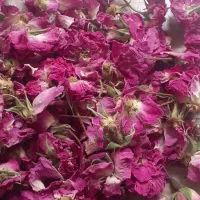 گل محمدی