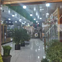 صندوقدار خانم