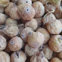 انجیر سفیداستهبان