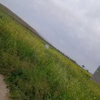 زمین باغی و کشاورزی وتجاری
