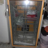 دستگاه جوجه کشی ۱۰۰۸ تایی مرغ،سیمرغ جنوب