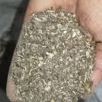 خوراک دام اقتصادی
