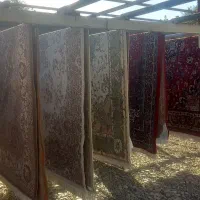 قالیشویی ومبل شویی ماندگار