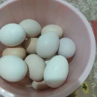 تخم مورغ محلی برای خوردن