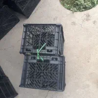 سبد بازاری گوجه