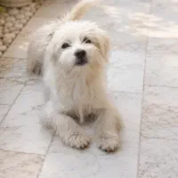 به افراد متعهد و مسوولیت پذیر واگذار می‌شود ....