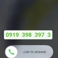 0919.398.397.3