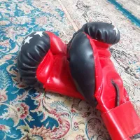دست کش|تجهیزات ورزشی|یزد, |دیوار
