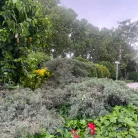 باغ-ویلا-مهرشهر