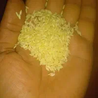 برنج عنبر بو درجه یک