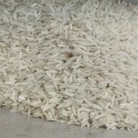 برنج تایلندی، آمریکایی، اروگوئه، رزفاخر