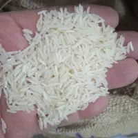 برنج ایرانی به شرط پخت اعلا