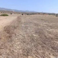 زمین