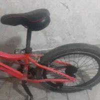 دوچرخه علکس ۲۴