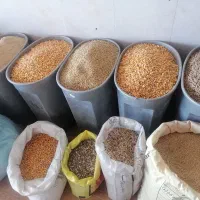 خوراک دام ملایی گندم جوارزن سبوس ذرت مخلوط عروس هل