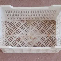 سبد گلخانه ای