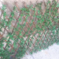 گل مصنوعی اکاردیونی