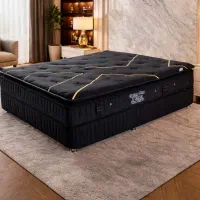 استخدام سئوکار طراح سایت