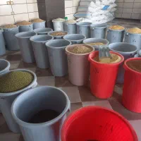 دانه سرای هادی