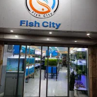 فروشگاه بزرگ ماهی زینتی و ملزومات آکواریوم