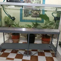 اکفاریوم و پایه