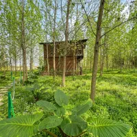 تجربه-زندگی-لوکس-در-آغوش-طبیعت