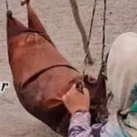 فروش مشک پوستی بزرگ