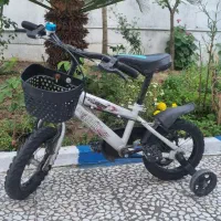 دوچرخه